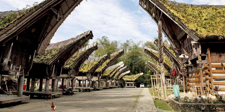 Berencana Ikut Toraja Marathon 2016? Ini Panduannya... 
