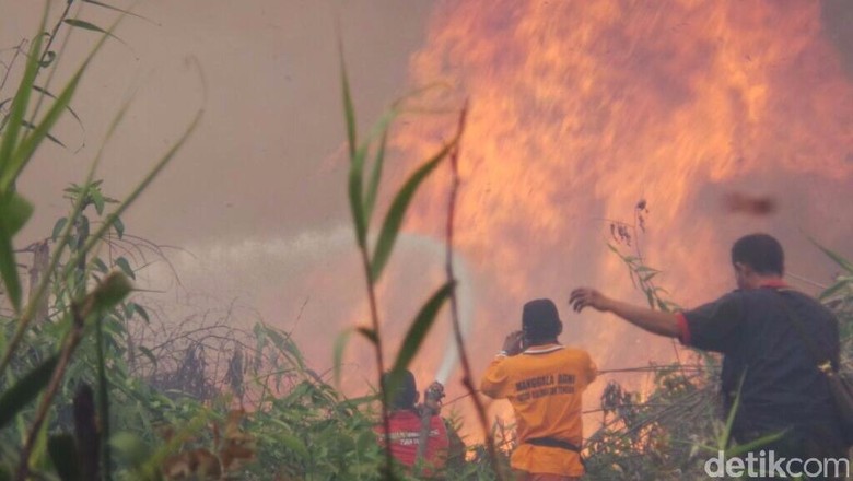 Polri Tetapkan 204 Tersangka Kasus Pembakaran Lahan dan Hutan 
