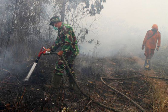 Kronologis Pratu Wahyudi HIlang Saat Padamkan Karlahut di Rohil
