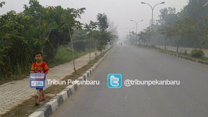 Pelalawan Diguyur Hujan, Asap Bertahan, Jarak Pandang 100 Meter 
