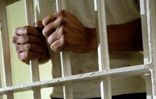 Belum Sempat Nikmati Hasil, Lima Pencuri Kerbau di Bandar Petalangan Keburu Diringkus 