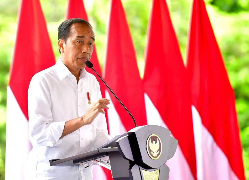 Presiden Jokowi Apresiasi Kinerja TNI-Polri Atas Kebebasan Pilot Susi Air 