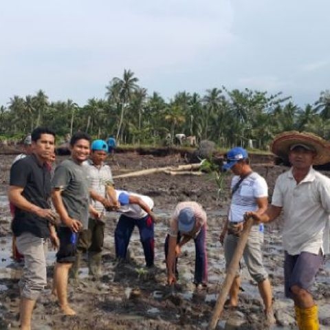 Tepati Janji, Dinas PU Bengkalis Bersama Rekanan dan Masyarakat Tanam Kembali Mangrove yang Rusak 