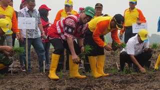Dengan Program Desa Bebas Api Diharapkan Dapat Mengurangi Kasus Karlahut Di Pelalawan 