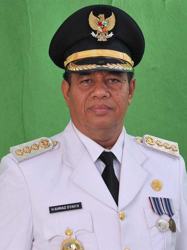 Penjabat Bupati Bengkalis H Ahmad Syah Harrofie