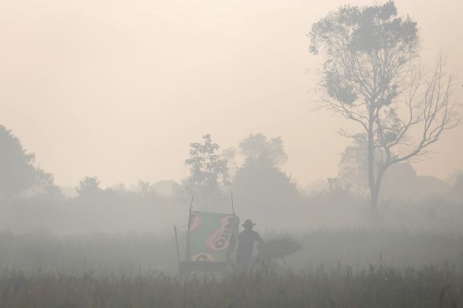 DPR Sarankan Ada Pengadilan Khusus Lingkungan Hidup untuk Pembakaran Hutan
