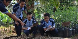Dibutuhkan 5.000 Tenaga Siap Pakai di Sektor Kelapa Sawit 