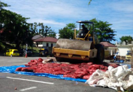 Polres Pelalawan Musnahkan 12 Ton Bawang Seludupan 