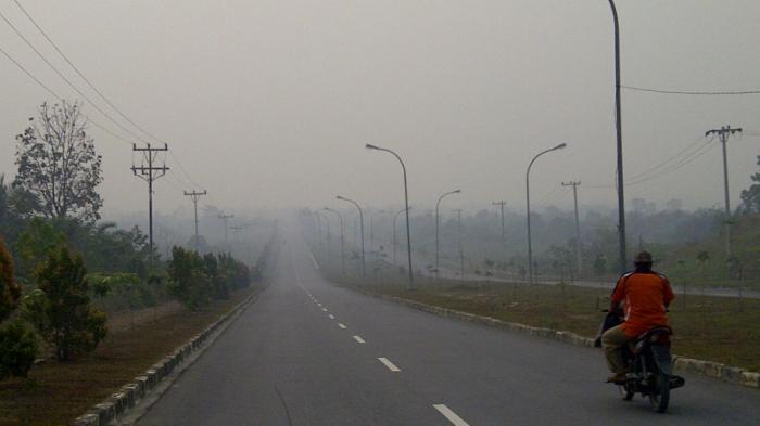 Asap Kumat Lagi, Pelalawan Seakan Mendung 
