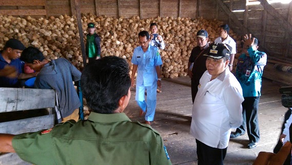Bupati Meranti Sesalkan Tengkulak Tekan Harga Jual Kelapa Petani 