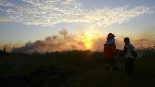 Jejak Ribuan Titik Api di Hutan Kutai Kartanegara