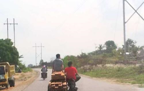 Angkut Kayu Diduga Ilegal Pakai Becak Motor pada Siang Hari, Kini Kembali Marak di Duri 