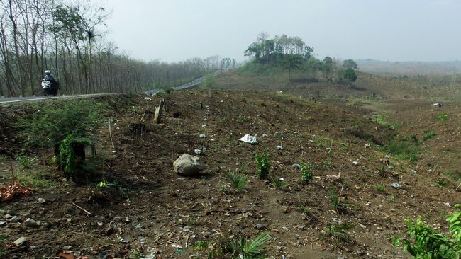 KPK Diminta Tegas Tindak Pelaku Korupsi Kehutanan di Riau 