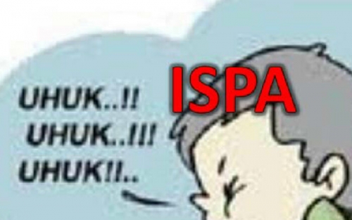 Penyakit Akibat Asap, Diskes Pelalawan Catat 21 Kasus