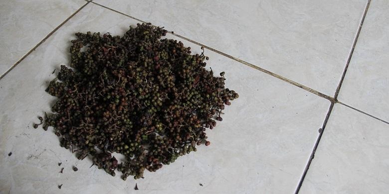 Andaliman, Ide Unik Oleh-oleh dari Parapat