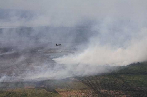 Riau Membara Lagi, 20 Titik Panas Terdeteksi Kepung Kabupaten Rohil