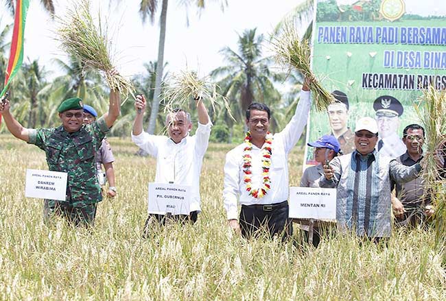 Riau Wujudkan Penguatan Pembangunan Pertanian dan Perkebunan 