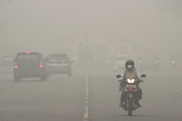 Kabut Asap Tipis Mulai Selimuti Wilayah Bengkalis