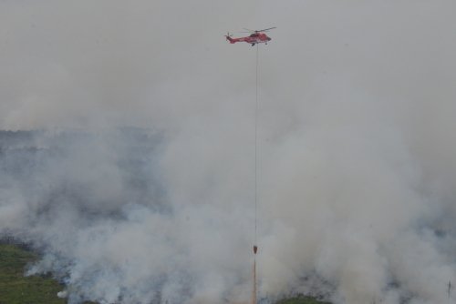Titik Api di Bengkalis Tersebar di 3 Kecamatan, Satgas Berjibaku Padamkan Karhutla 