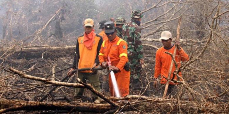 Komisi IV DPR Nilai Pemerintah Tak Serius Atasi Kebakaran Hutan 