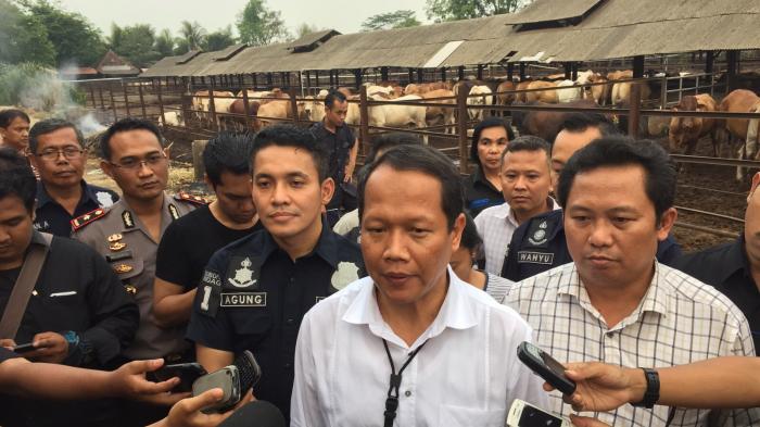 Bareskrim Kantongi Calon Tersangka Kasus Penimbunan Sapi di Bogor