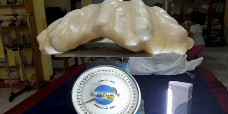 Ada Mutiara Alamiah Seberat 34 Kg di Filipina, Terbesar di Dunia? 