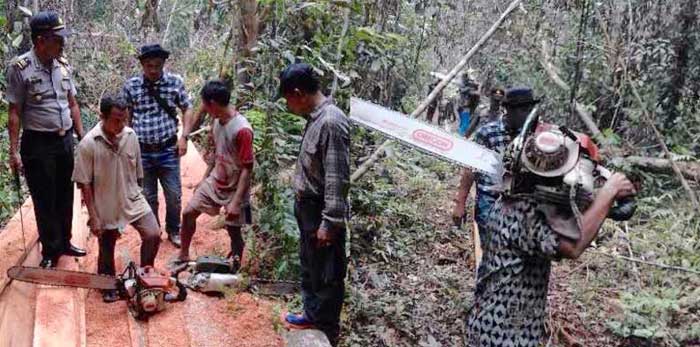Cari Pembakar Lahan, Polres Siak Malah Tangkap 2 Pelaku Ilog