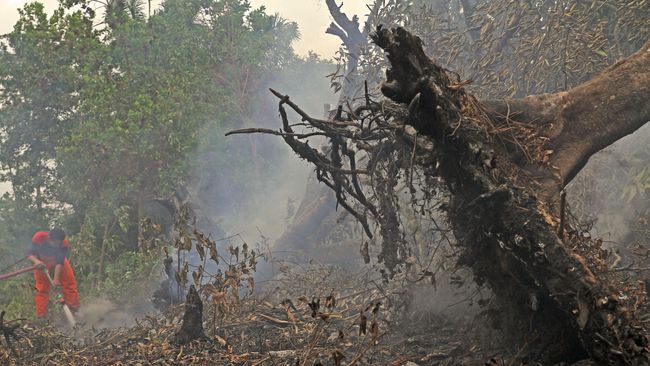 Belum Ada Perusahaan Jadi Tersangka Karhutla di Riau