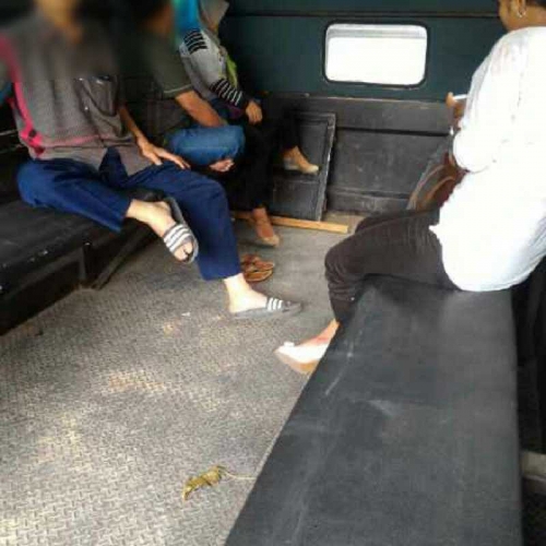 Siang Bolong Berduaan di Kamar Hotel, 3 Pasangan Tanpa Ikatan Diangkut Satpol PP Inhil 