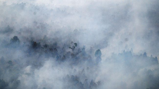Riset: Kebakaran Hutan Sebabkan 100 Ribu Kasus Kematian Dini