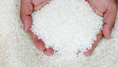 Masyarakat Tak Perlu Cemas, Stok Beras Bulog Divre Riau-Kepri Aman Hingga Awal Tahun 