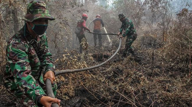 Walhi Tak Rela TNI Padamkan Karhutla yang Dipicu Korporasi