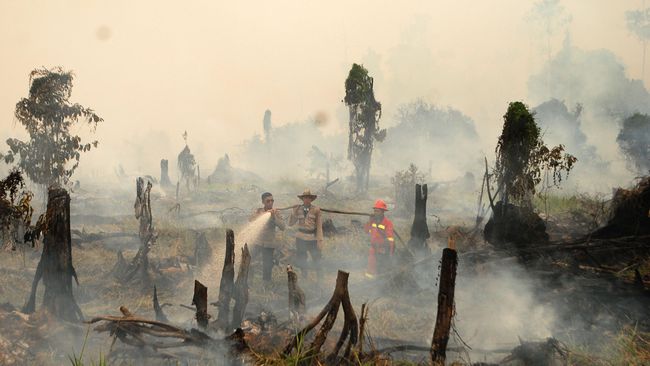 Pemerintah Didesak Selaraskan Penegakan Hukum Karhutla
