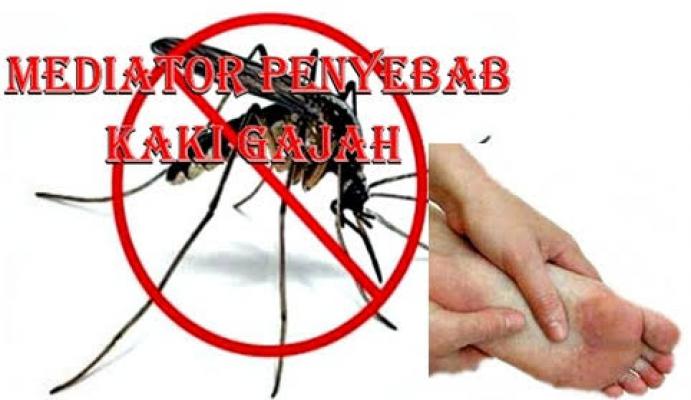 Atasi Masalah Penyakit Kaki Gajah, Ini Langkah Yang Diambil Pemkab Meranti 