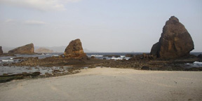 Pilihan Transportasi Menuju Pantai Tanjung Papuma 