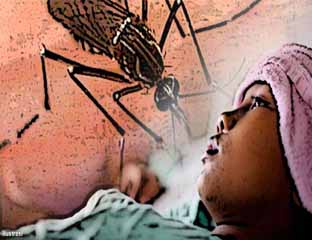 Tahun Ini, 10 Warga Pekanbaru Meninggal Akibat DBD 