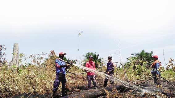 Bom Air Belum Efektif, Karhutla Meluas di Dua Kecamatan