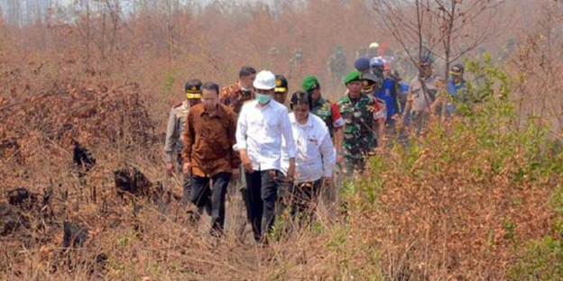 Jokowi Minta Daerah Buat Anggaran Khusus