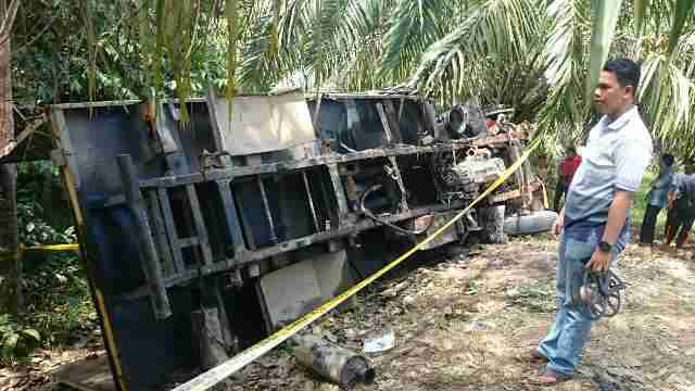 Dikejar Polisi dan Warga, Truk Angkut Kerbau Curian Terbalik di Rohul