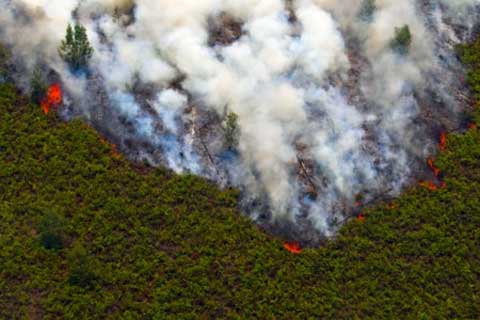 Ada 83 Titik Panas di Riau