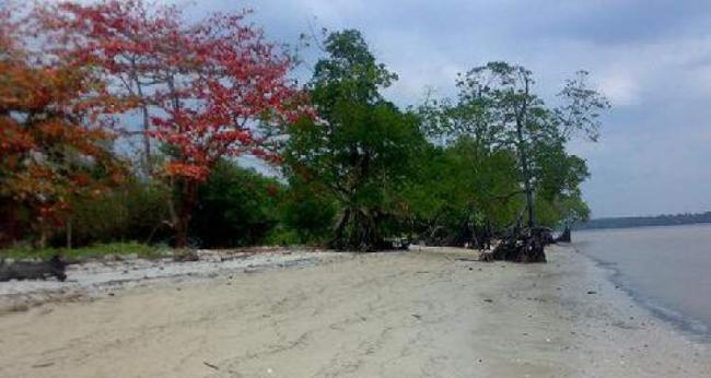 Pesona Pantai Solop-Inhil Yang Terlupakan