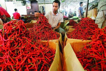 Harga Cabe Merah dan Tomat di Pekanbaru Turun 