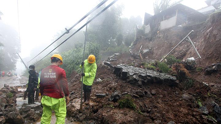 Selamatkan Kawasan Hutan Puncak 