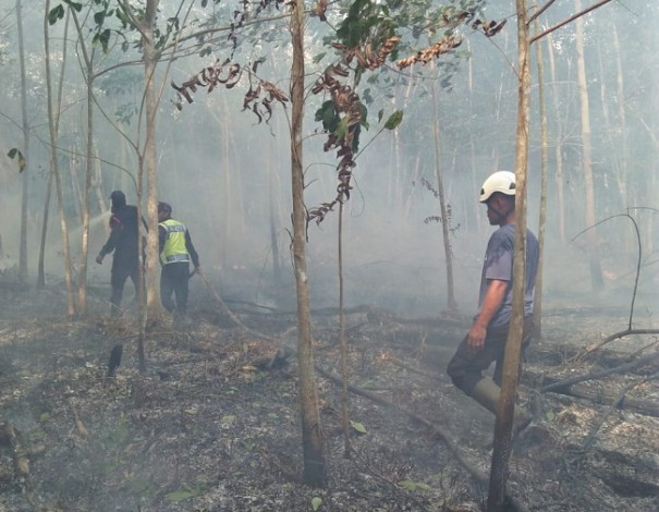 Kapolri Janji Tindak Tegas Pembakar Lahan di Riau 