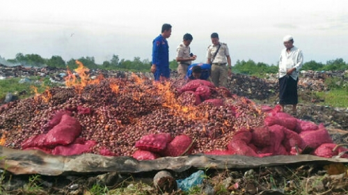 9 Ton Bawang Merah Ilegal Dimusnahkan di Meranti 