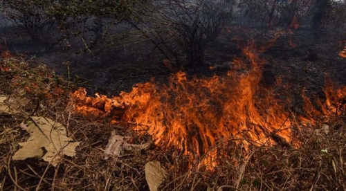 Jelang Salat Isya, Lahan di Jalan Merdeka Selatpanjang Terbakar 