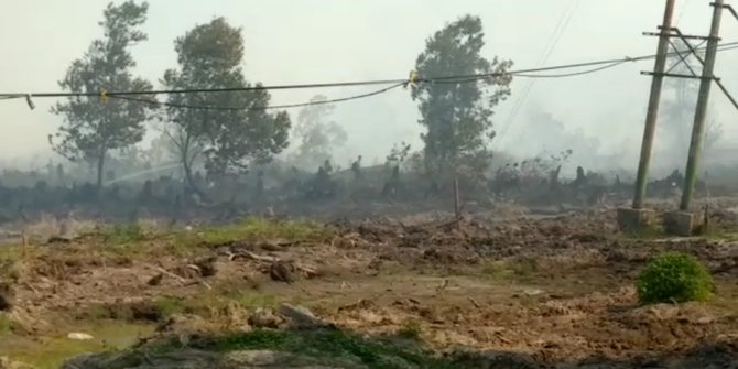 Kebakaran Hutan di Meranti, Petugas Kesulitan Cari Air untuk Padamkan Api 