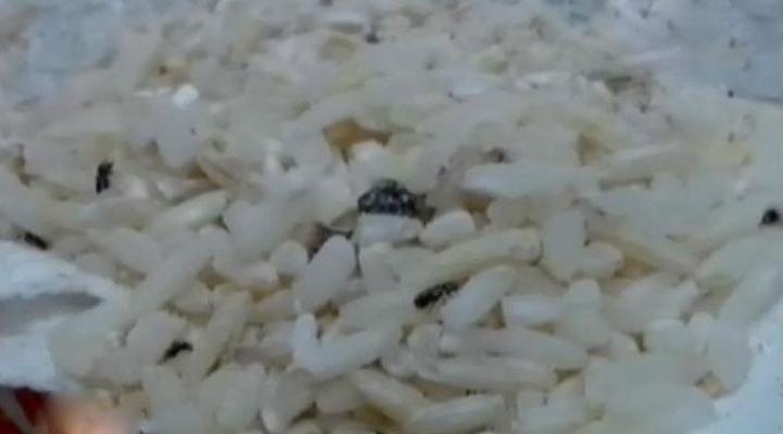 3 Kelurahan di Dumai Temukan Beras Bulog Berkutu 