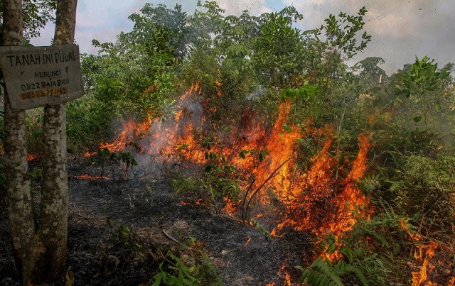 Ancaman Karhutla 2020 15 Hotspot Terdeteksi di Riau