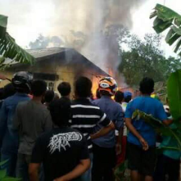 Dihajar Si Jago Merah, Dua Rumah di Sejangat Bukit Batu Rata 